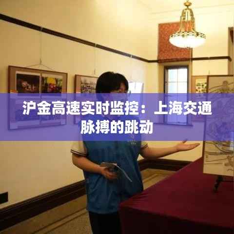 沪金高速实时监控：上海交通脉搏的跳动