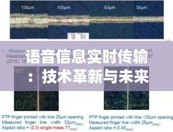 语音信息实时传输:技术革新与未来展望