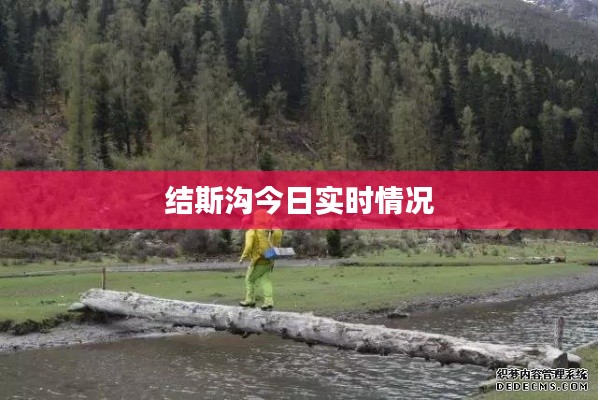 结斯沟今日实时情况