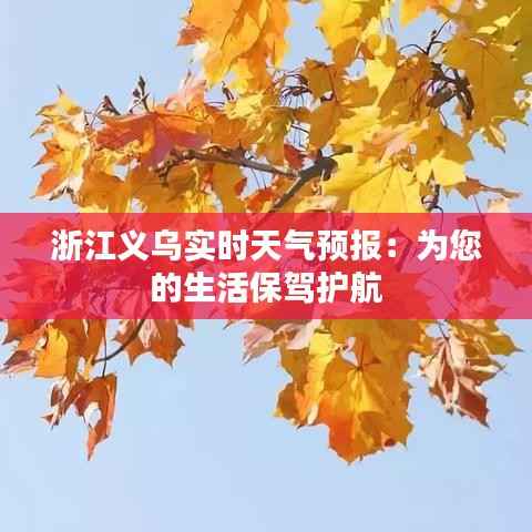 浙江义乌实时天气预报:为您的生活保驾护航