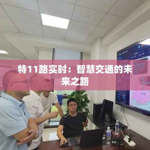 雍容华贵 第4页