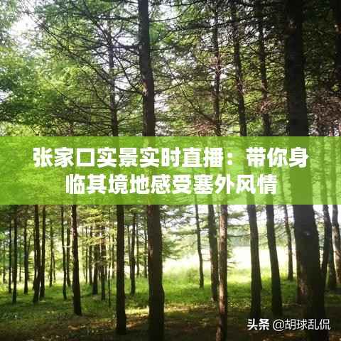张家口实景实时直播：带你身临其境地感受塞外风情