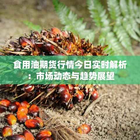 食用油期货行情今日实时解析：市场动态与趋势展望