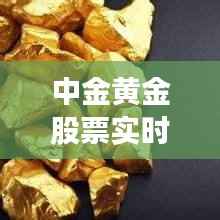 中金黄金股票实时行情解析：市场动态与投资策略