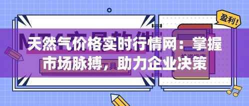 天然气价格实时行情网：掌握市场脉搏，助力企业决策