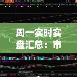 周一实时实盘汇总：市场动态与投资策略分析