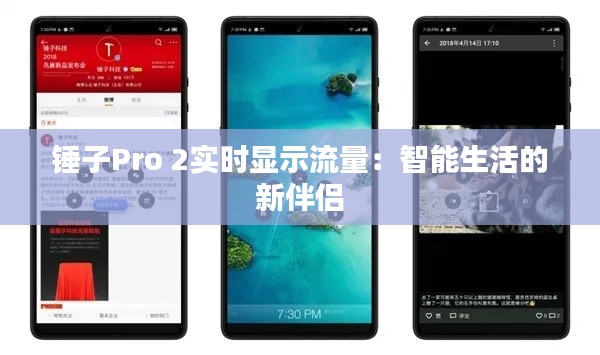 锤子Pro 2实时显示流量：智能生活的新伴侣
