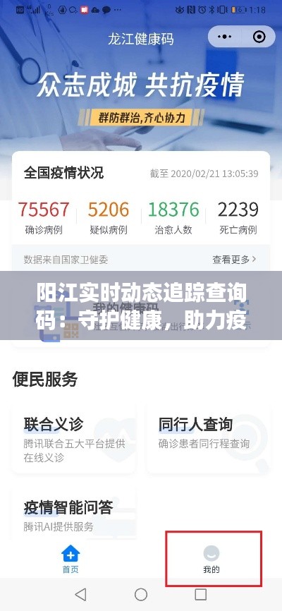 阳江实时动态追踪查询码：守护健康，助力疫情防控