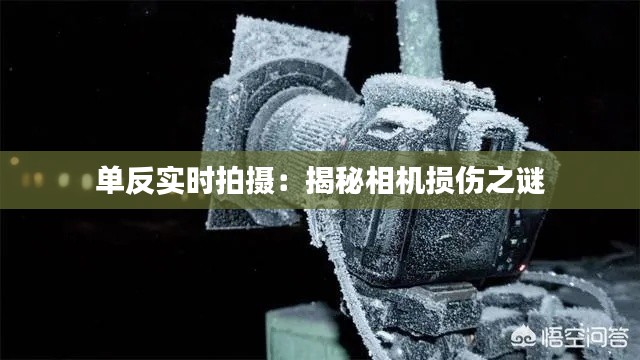 心旷神怡 第5页