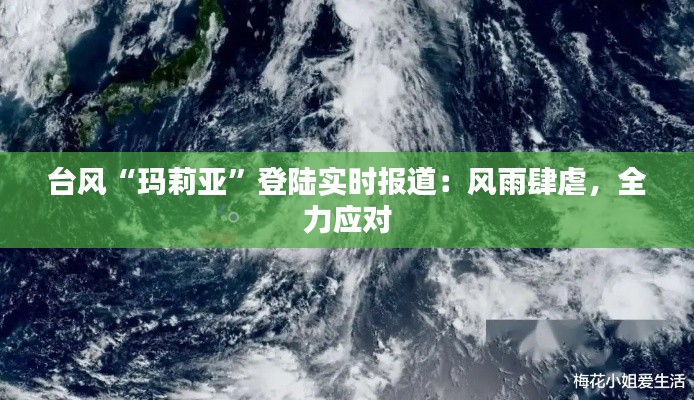 台风“玛莉亚”登陆实时报道：风雨肆虐，全力应对