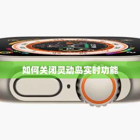 如何关闭灵动岛实时功能