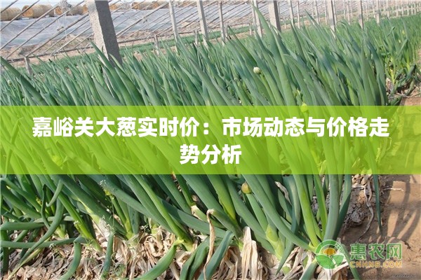 嘉峪关大葱实时价：市场动态与价格走势分析