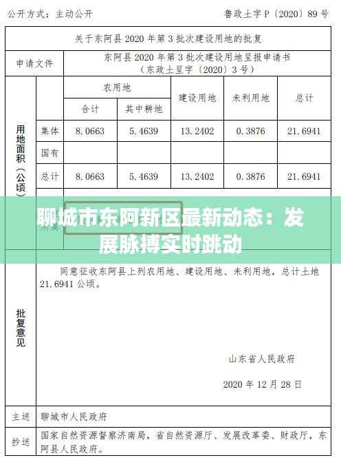 聊城市东阿新区最新动态：发展脉搏实时跳动