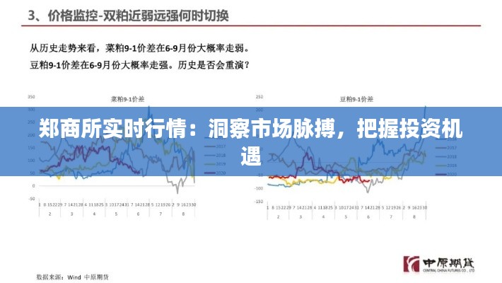 郑商所实时行情：洞察市场脉搏，把握投资机遇