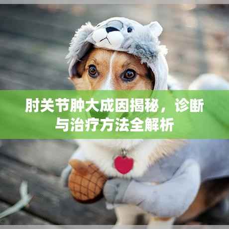 肘关节肿大成因揭秘，诊断与治疗方法全解析