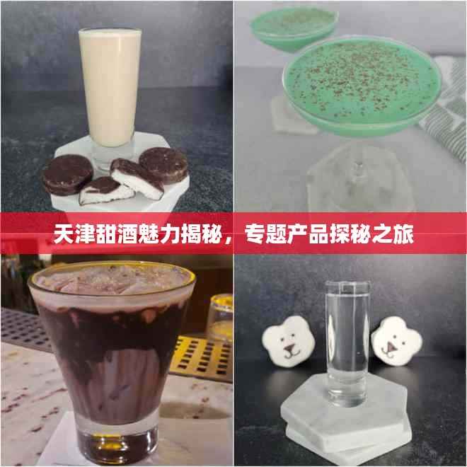 天津甜酒魅力揭秘，专题产品探秘之旅