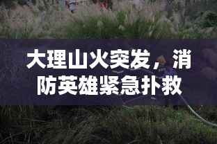 不求甚解 第6页