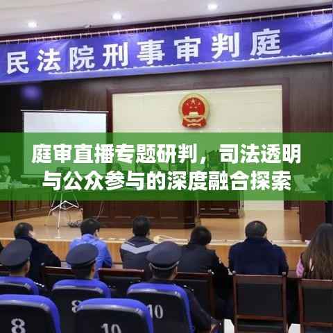 庭审直播专题研判，司法透明与公众参与的深度融合探索