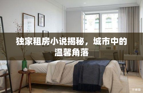 独家租房小说揭秘,城市中的温馨角落