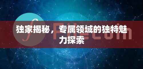 独家揭秘，专属领域的独特魅力探索
