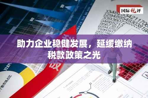 助力企业稳健发展，延缓缴纳税款政策之光
