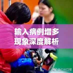 输入病例增多现象深度解析