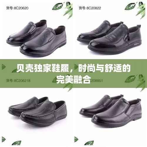 昙花一现 第5页