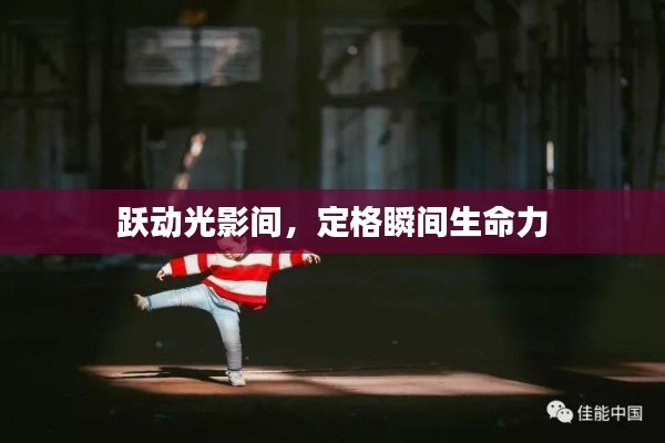 跃动光影间，定格瞬间生命力