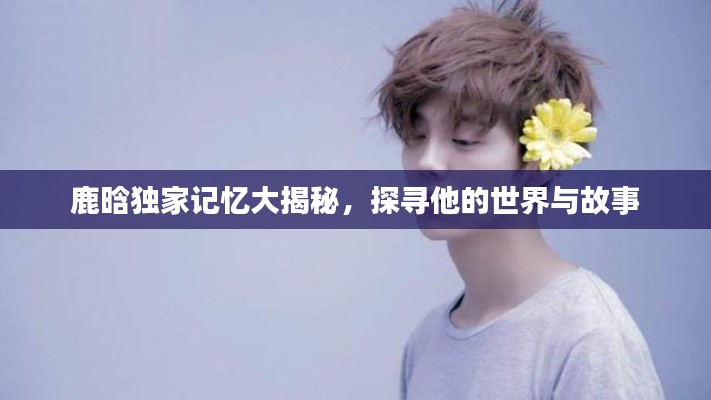 鹿晗独家记忆大揭秘，探寻他的世界与故事