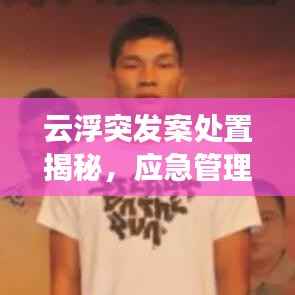 云浮突发案处置揭秘，应急管理与安全防范协同作战策略