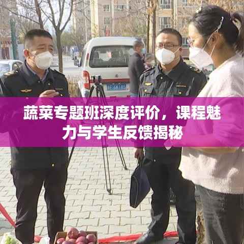蔬菜专题班深度评价,课程魅力与学生反馈揭秘