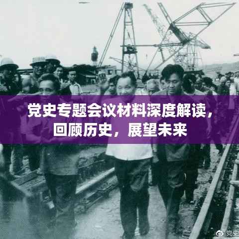 党史专题会议材料深度解读，回顾历史，展望未来