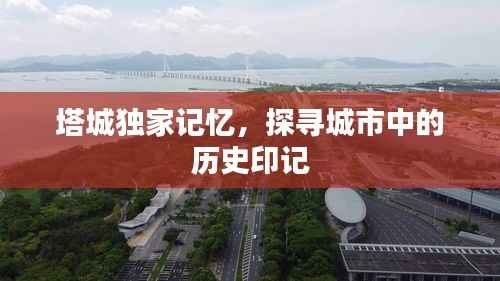 各就各位 第5页