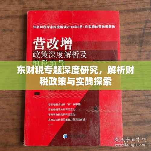 东财税专题深度研究，解析财税政策与实践探索