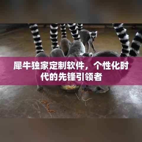 犀牛独家定制软件，个性化时代的先锋引领者