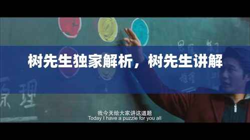 树先生独家解析，树先生讲解 