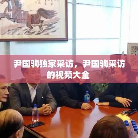 尹国驹独家采访，尹国驹采访的视频大全 