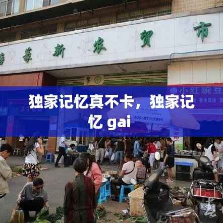 独家记忆真不卡，独家记忆 gai 