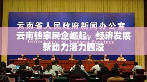 云南独家民企崛起，经济发展新动力活力四溢