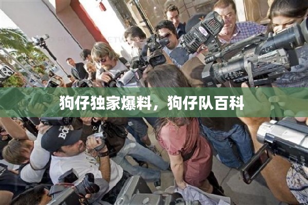狗仔独家爆料，狗仔队百科 