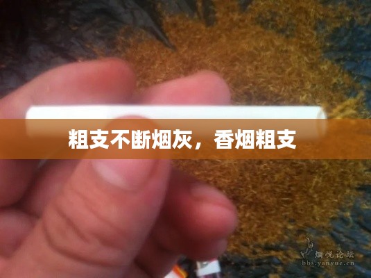 粗支不断烟灰，香烟粗支 