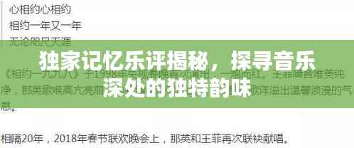 独家记忆乐评揭秘，探寻音乐深处的独特韵味