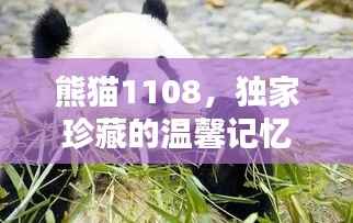 唾沫横飞 第5页