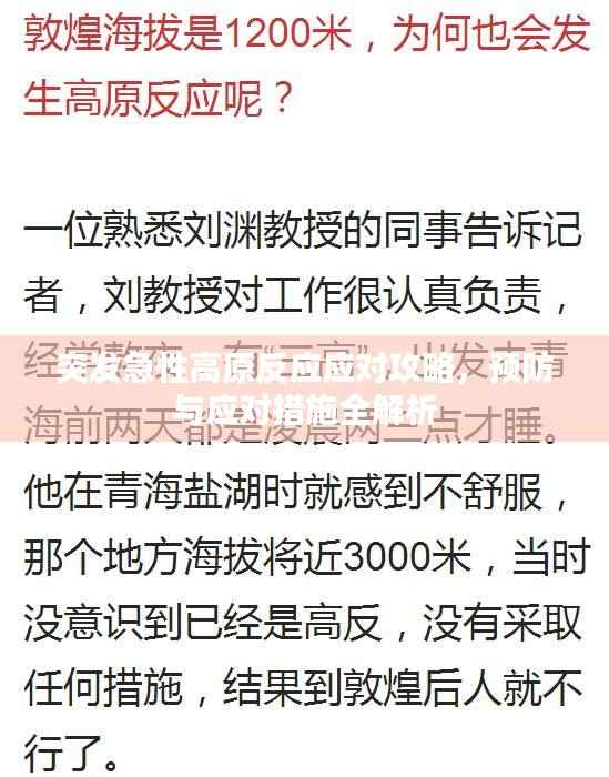 突发急性高原反应应对攻略，预防与应对措施全解析