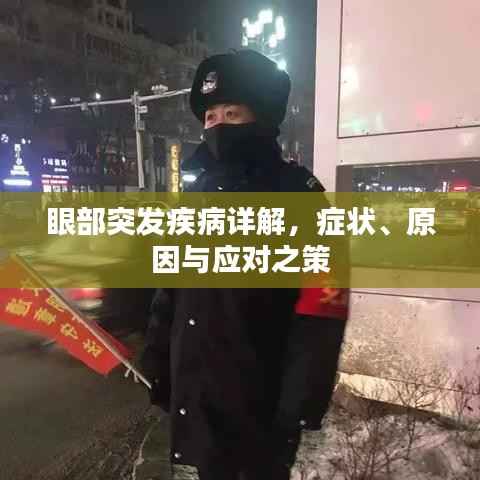 眼部突发疾病详解，症状、原因与应对之策