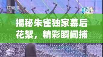 揭秘朱雀独家幕后花絮，精彩瞬间捕捉攻略