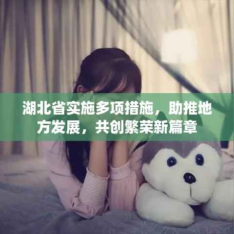 湖北省实施多项措施，助推地方发展，共创繁荣新篇章