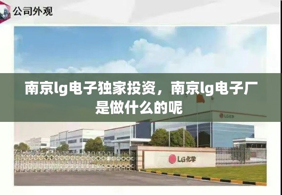 南京lg电子独家投资，南京lg电子厂是做什么的呢 