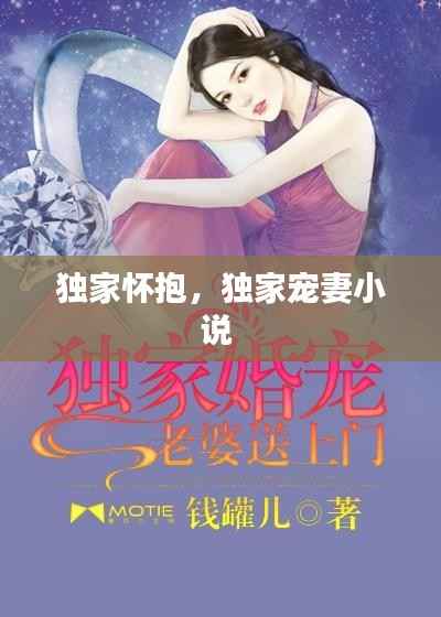 独家怀抱，独家宠妻小说 