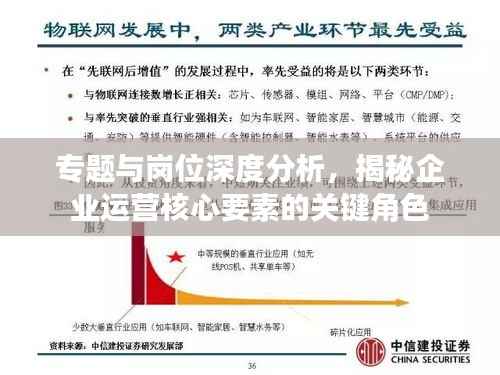 专题与岗位深度分析，揭秘企业运营核心要素的关键角色